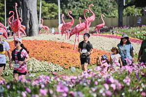 BIB: 
                            <button type="button" onclick="openModal(27794109)" class="btn btn-primary btn-sm float-right btn-popup" data-toggle="modal" data-target=".modal-high-quality">
                        <i class="fas fa-shopping-cart"></i> Add to Cart
                    </button>
                                            <button type="button" onclick="isThisMe(27794109, true)" class="btn btn-success btn-sm float-right btn-popup btn-isme hidden" data-toggle="tooltip" data-placement="bottom" title="นี่คือรูปของคุณใช่ไหม คลิกที่นี่เพื่อเอาเข้าอัลบั้ม">
                        <i class="fas fa-plus"></i> Add to album
                    </button>
                    <button type="button" onclick="isThisMe(27794109, false)" class="btn btn-warning btn-sm float-right btn-popup btn-isnotme hidden">
                        <i class="fas fa-ban"></i> Remove from album
                    </button>